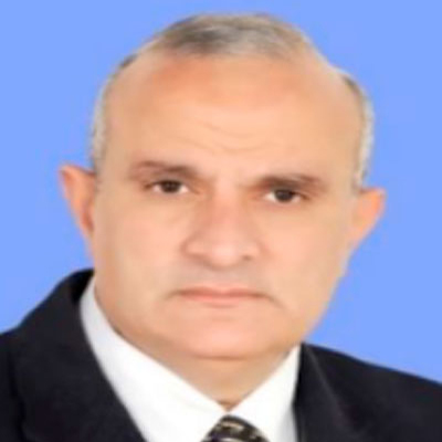 Prof. Dr. Ibrahim Abdel-Wahab Salem    