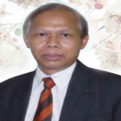 Prof. Anan  Polthanee