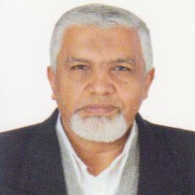 Prof. Dr. Loutfy Mohsen Hassan