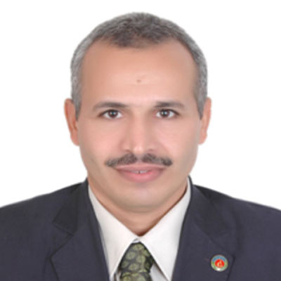 Dr. Mohamed Abdel-Raheem Ali Abdel-Raheem    