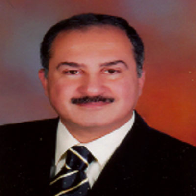 Prof. Ahmed Ali Hamed Saad Fadda