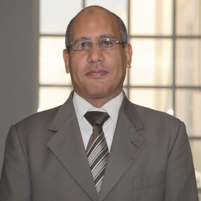 Dr. Talaat Abdel-Fattah Ahmed    