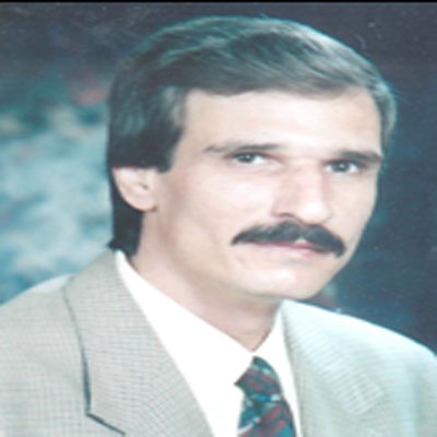 Dr. Hamdy  Abd Elsamad Hasan Elshabrawy 