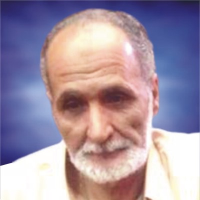  Mohamed Mahrous Mohamed Amer    