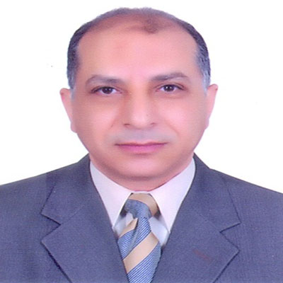 Dr. Gamal Elsayed Abouelghar    