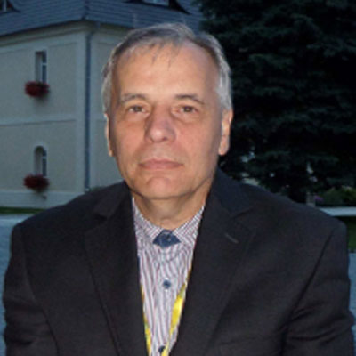 Dr. Vladmir  Mityushev