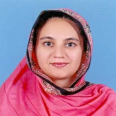 Ms. Sarwat  Nauman