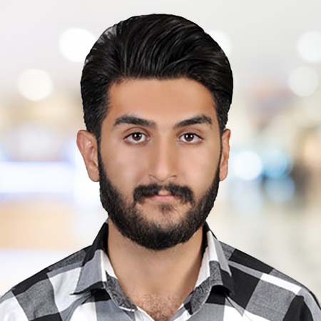  Seyyed Shahab Hosseini    