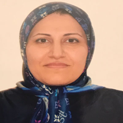 Dr. Shadi Sarahroodi    