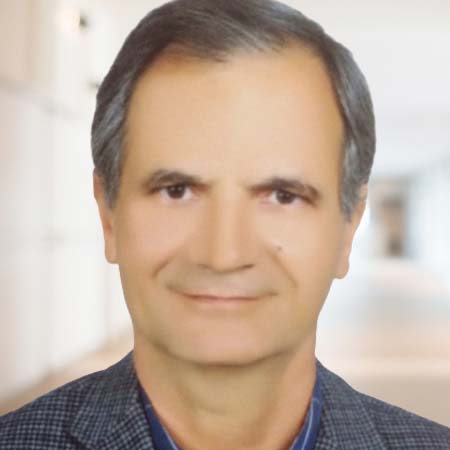 Dr. Mohammad Reza Namavar    
