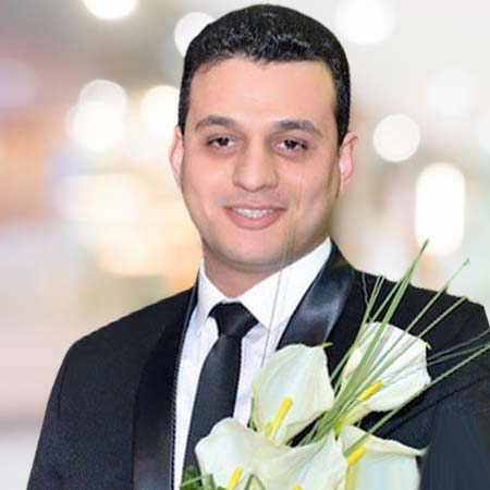 Dr. Ahmed M. El-Sawah    