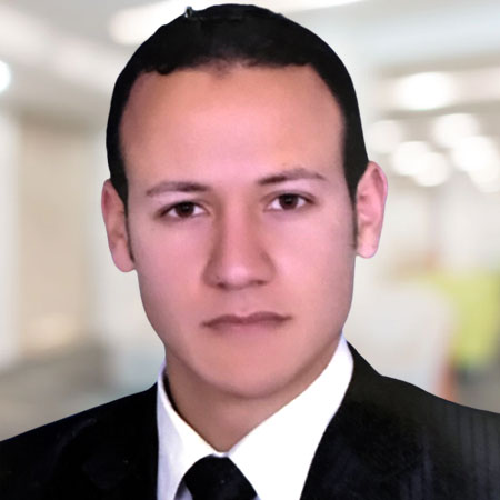 Dr. Ahmed Abdel-Moneim Eldeeb    