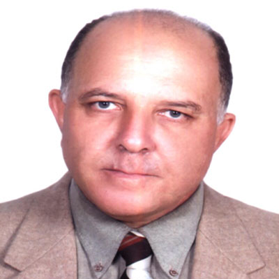 Aly Mohamed  Abdel-Salam