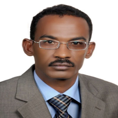 Dr. Amir  Ahmed ElKhalifa Mufaddel