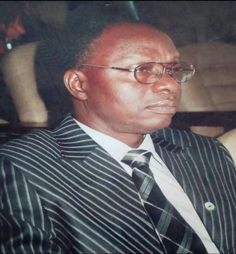 Dr. Ariyo Omolayo Johnson    