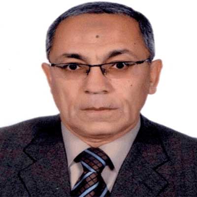 Dr. Baher Abdel Khalek Mahmoud Effat    