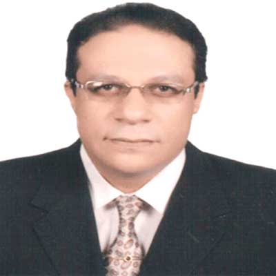 Dr. Elsayed Mahmoud Bayoumy    