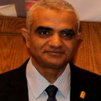 Prof. Hassan Abdel-Sabour Ali Hussein    