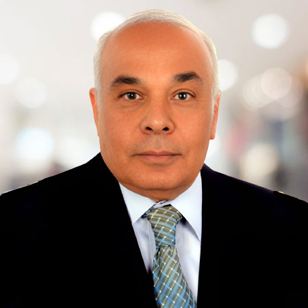 Mohamed  Abdul Rahman El-Wakil