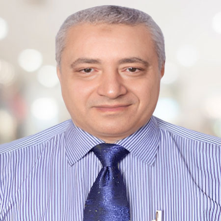 Prof. Mohamed Hamza El-Saeid    
