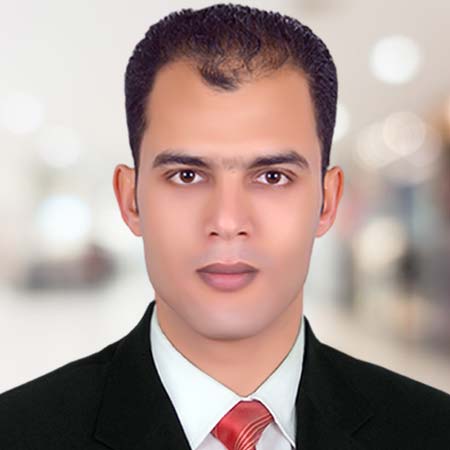 Dr. Mohamed Ismail Abd El-ghaffar Fayed    