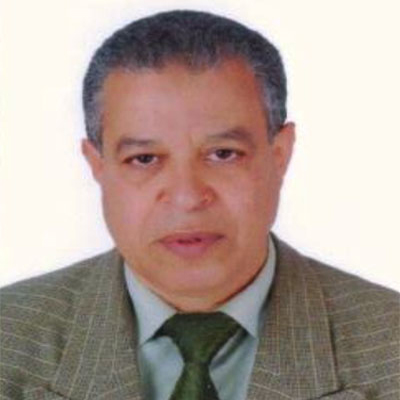 Prof. Dr. Mohamed  Kamal El-Bahr