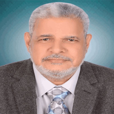 Prof. Dr. Mohamed Mansour El-Loly