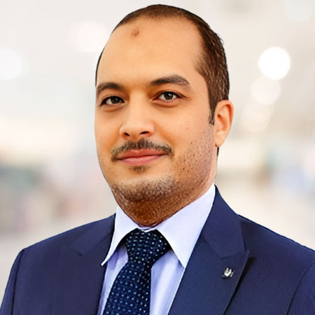 Dr. Mohamed Lotfy Ashour    