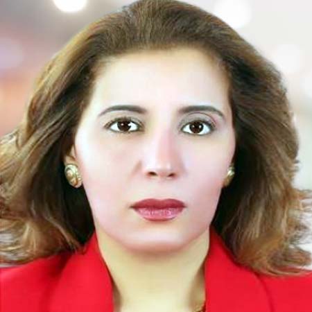 Ms. Nour Shafik El-Gendy    