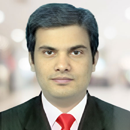 Mr. Raman Kumar Ravi    