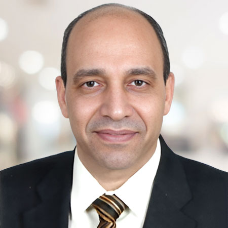 Dr. Yousif Abd El-Aziz Elhassaneen    